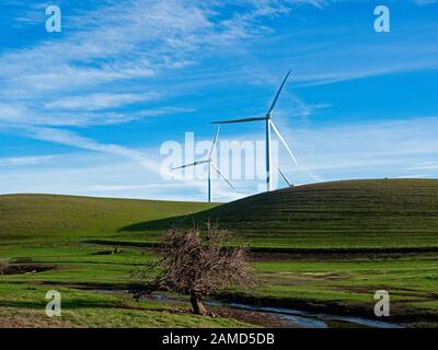 Shiloh Wind Farms, Rio Vista, Kalifornien Stockfoto