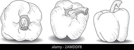 Leckere reife Paprika auf weißem Hintergrund. Vektordarstellung, separate Ebenen pro Element. Stock Vektor