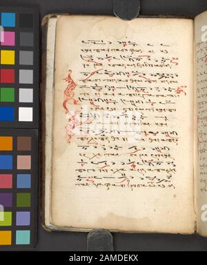 Sticherarion (Ornamented initial) Aufgeführt in De Ricci, Seymour, Census of Medieval and Renaissance Manuscripts in den Vereinigten Staaten und Kanada. New York. N. Y.: H.W. Wilson, 1935; and Supplement, New York, N. Y.: Bibliographical Society of America, 1962. Ff. 1r-200V geschrieben von einem Schreiber, ff. 201 r-216V in zweiter Hand, ff. 217r-221 V in dritter Hand. Eigentum: Charles F. Gunther von Chicago; Verkauf durch American Art Association 1925; Bibliothek von Wilberforce Eames of Brooklyn, NY; vermacht von Eames an NYPL im Jahr 1940. Nadeschda Kavrus-Hoffmann, Zwei der achtundzwanzig Quire sind nicht original. Dunkelbraun bl Stockfoto