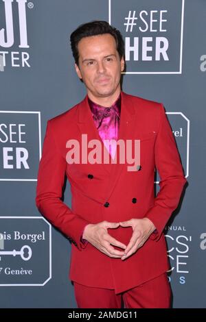 Santa Monica, USA. Januar 2020. SANTA MONICA, USA. 12. Januar 2020: Andrew Scott bei den 25th Annual Critics' Choice Awards im Barker Hangar, Santa Monica. Bild: Paul Smith/Featureflash Credit: Paul Smith/Alamy Live News Stockfoto