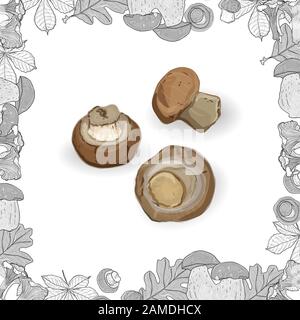 Frische Pilze isoliert auf Weiß mit monochromen Rahmen. Vektorgrafiken. Stock Vektor