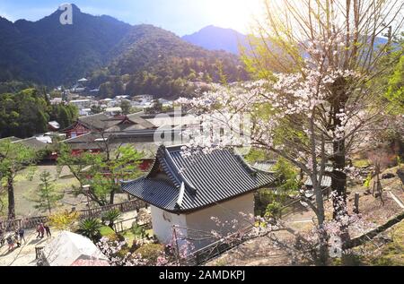 Luftbild auf der berühmten Miyajima-Insel in der Sakura-Blüte-Saison, Hiroshima, Japan. UNESCO-Weltkulturerbe. Blick von der Gojunoto-Pagode Stockfoto