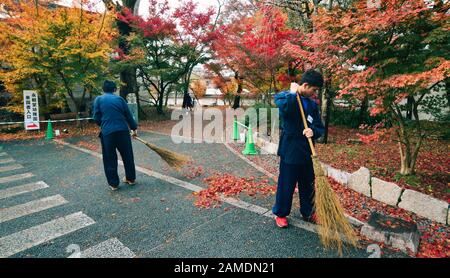 Kyoto, Japan - 28. November 2016. Menschen reinigen fallende Blätter bei der alten buddhistischen Pagode in Kyoto, Japan. Stockfoto