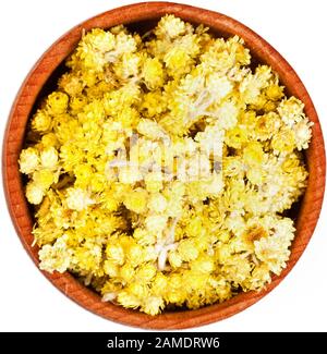 Helichrysum blüht in einem kleinen Holzbogen isoliert auf Weiß. Stockfoto