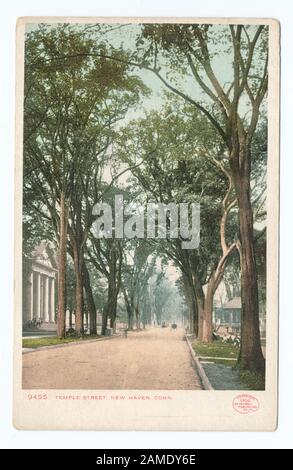 Temple Street, New Haven, Conn Postcard Seriennummer: 9455 Wurde Detroit Publishing Company. Neuer Aufdruck mit Künstler-Palettenmarke. Enthaltene Bilder mit Daten vor 1906.; Temple Street, New Haven, Conn. Stockfoto