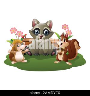 Cartoon lustige Igel, Waschbären und Eichhörnchen Stock Vektor
