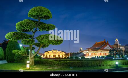 Riesiger Bonsai-Baum am Taipei Liberty Square in der Nacht Stockfoto