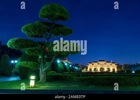 Riesiger Bonsai-Baum am Taipei Liberty Square in der Nacht Stockfoto