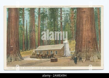 Die Kabine, Grove of Big Trees, Mariposa, Calif Postcard-Seriennummer: 70483 Setzte Die 14000-Serie Fort. Die Serie 70000, die mit großen Lücken in der Nummerierung herausgegeben wird, kann einige nicht nummerierte Karten enthalten.; Die Kabine, Grove of Big Trees, Mariposa, Calif. Stockfoto