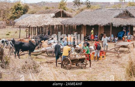 Sofia, MADAGASKAR 4.2016 madagassische Völker auf dem Bauernhof in der ländlichen Stadt Sofia. Der Alltag auf dem Land. Madagaskar, 4. November. 2016 Stockfoto