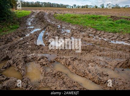 53 Muddy und Wasser logierten Eingang zu einem Ackerfeld auf dem Land im ländlichen Norfolk Stockfoto