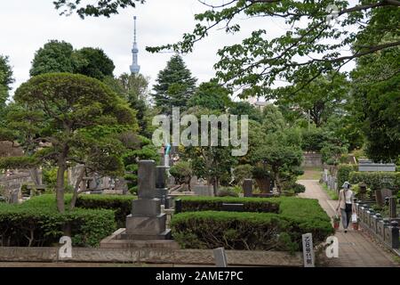 Yanaka-Friedhof in Tokio, Japan, Asien. Alter japanischer Friedhof mit Gräbern und Gräbern. Skytree Tower im Hintergrund Stockfoto