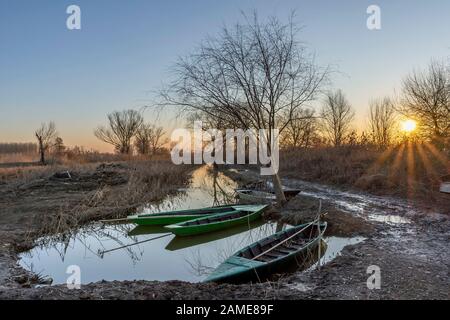 Schöner Sonnenuntergang auf den typischen Holzbooten des Feuchtgebietes Padule di Fucecchio, Porto delle Morette, Toskana, Italien Stockfoto