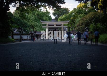 Menschen, die tagsüber durch den Meiji-Jingu-Schrein spazieren Stockfoto