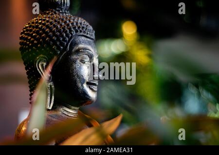 Buddha-Statue im Innengarten an der tropischen Bar in bangkok thailand Stockfoto