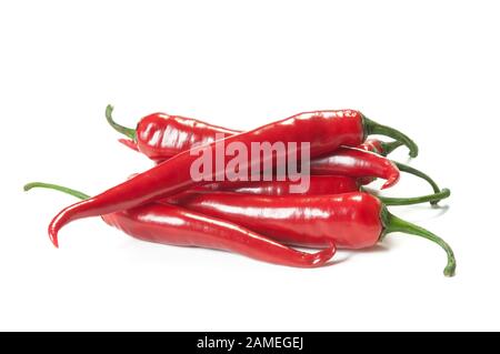 Rote Paprika isoliert auf weiß. Scharfe, heiße Speisen ohne Gradienten Stockfoto