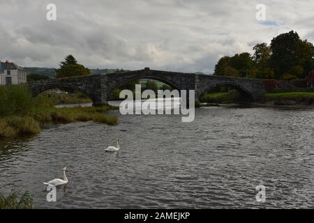 Llanrwst. Brücke und Teahouse. Nordwales. Großbritannien Stockfoto