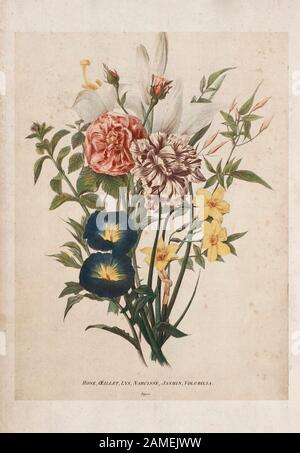 Bouquet von Rose, Carnation, Lily, Narcissus, Jasmin, Volubilia Stockfoto