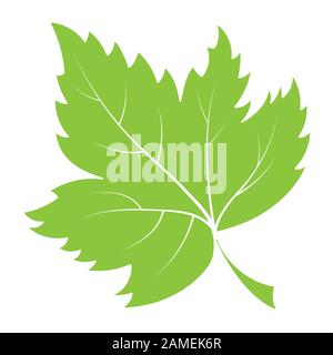 Vektorfarbene Silhouette einer Blattpflanze, isoliert auf weißem Hintergrund für ein Design mit Naturmotiv. Flacher Stil. Stock Vektor