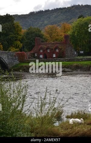 Llanrwst. Brücke und Teahouse. Nordwales. Großbritannien Stockfoto