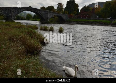 Llanrwst. Brücke und Teahouse. Nordwales. Großbritannien Stockfoto