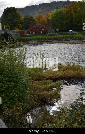 Llanrwst. Brücke und Teahouse. Nordwales. Großbritannien Stockfoto