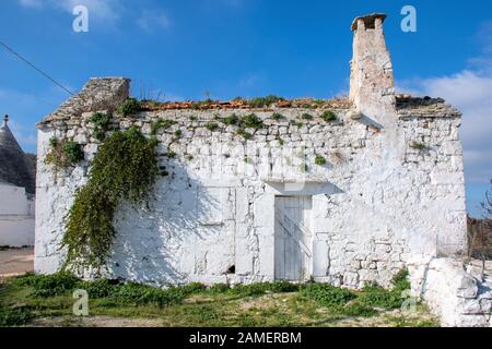 Antike alte weiße Steinhaus in einem ländlichen Dorf in Apulien, Italien, Europa mit Kapern Stockfoto