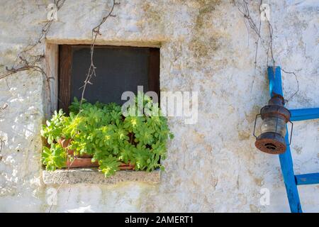 Alte Stein Fenster eines alten weißen Stein Haus in einer ländlichen Dorf in Apulien, Italien, Europa mit Anlage Stockfoto