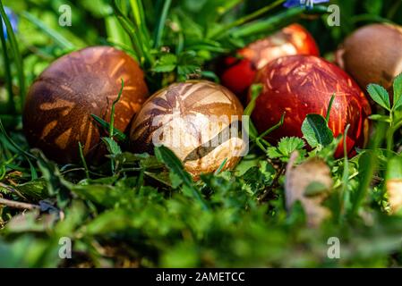 Mehrfarbige ostereier in grünem Gras. Osterkonzept - Bild Stockfoto