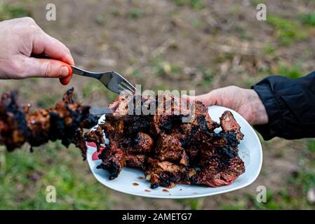 Die menschliche Hand hält einen weißen Teller mit frisch gebackenem Kebab - Bild Stockfoto