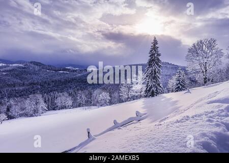 Schöne Winterlandschaft mit Karpatenbergen, bedeckt von Mischwald unter unberührtem Neuschnee. Sonne scheint durch Wolken. S Stockfoto
