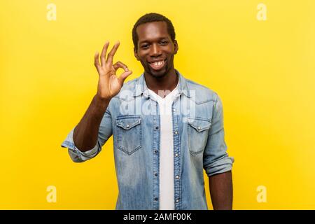 Alles ist in Ordnung! Porträt des zufriedenen gutaussehenden Mannes im Denim-Hemd mit aufgerollten Ärmeln, die Zustimmung zeigen, ok Geste, stimmen mit sugg überein Stockfoto