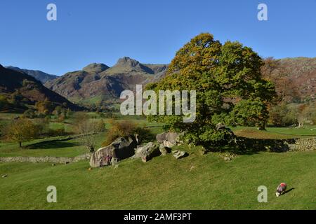 Die Langdale Pikes und die Langdale Boulders, im Vereinigten Königreich Stockfoto