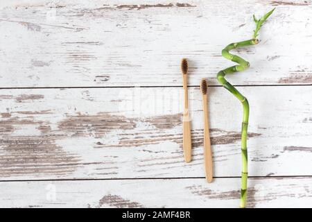 Zwei braune, biologisch abbaubare, kompostierbare Bambuszahnbürsten auf flachem Holzhintergrund. Einrichtung mit grüner Bambuspflanze. Stockfoto