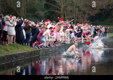 Schwimmen am Weihnachtstag, Blackroot Pool, Sutton Coldfield, West Midlands, Großbritannien Stockfoto