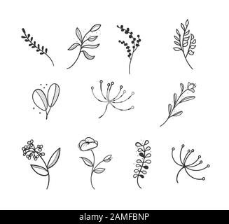 Botanical logo Maßbild vecctor im Set Stock Vektor