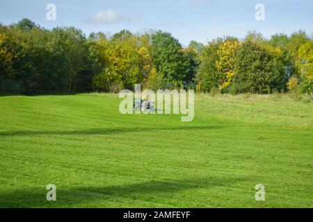 Mann, der im Herbst mit einem Motorrasenmäher das Gras in einem Park schneidet. Melton Mowbray, Leicestershire, England, Großbritannien Stockfoto