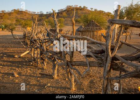 Die hölzernen Zaun um einen Himba Dorf, Kaokoland, Kaokoveld, Namibia Stockfoto