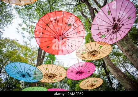 Chinesische traditionelle bunte Sonnenschirme auf Bäumen Low Angle View in Guilin, Guangxi Provinz, China erhängt Stockfoto