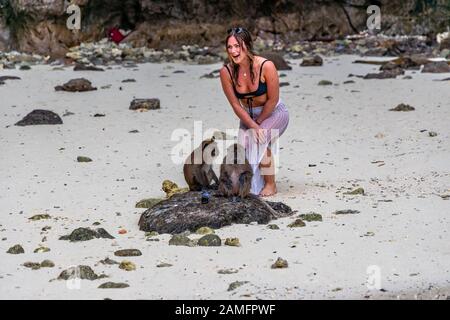 Phi Phi Island, Thailand - 24. November 2019: Eine nicht identifizierte Frau, die sich für ein Foto mit einem Affen am Monkey Beach auf Phi Phi Inseln posiert. Stockfoto