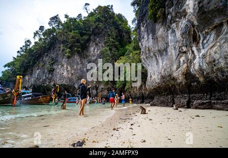 Phi Phi Island, Thailand - 24. November 2019: Touristen, die ihren Besuch im Monkey Beach auf Phi Phi Island genießen. Der Strand von Monkey ist etwa 5 Minuten mit dem Boot entfernt Stockfoto