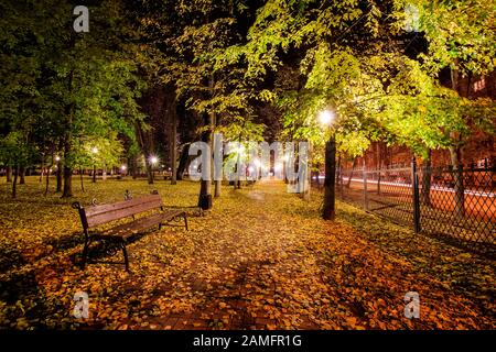 Stadtnächtspark im Herbst mit gestreuten wegen, umgestürzten gelben Blättern, Bänken und Linden. Querformat. Stockfoto
