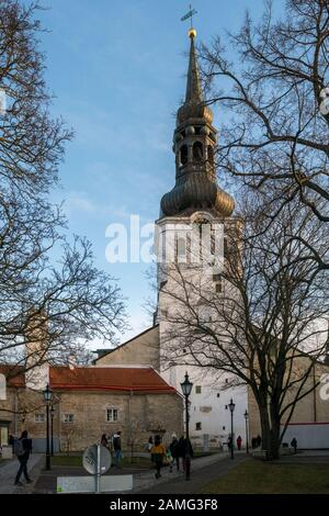 Marienkathedrale im Winter. Tallinn, Estland. Die St. Mary's ist die älteste erhaltene Kirche Estlands. Stockfoto