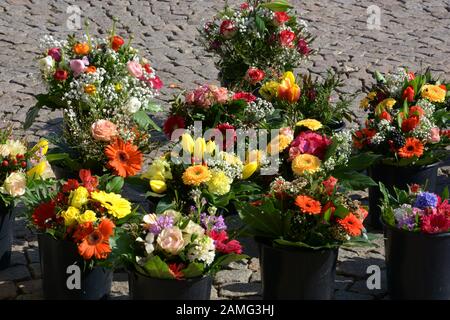 Bunte Frühlingsblüten im Korb im Freien, Blumenstrauß verschiedener Blumen, die auf einem Markt auf Pflastersteinen verkauft werden Stockfoto