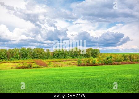 Niedrige Wolken über grüner Wiese Stockfoto