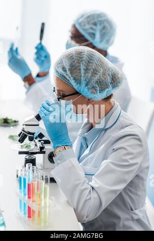 Selektiver Fokus des Biologen mit Mikroskop und afroamerikanischer Kollege mit Lupe Stockfoto