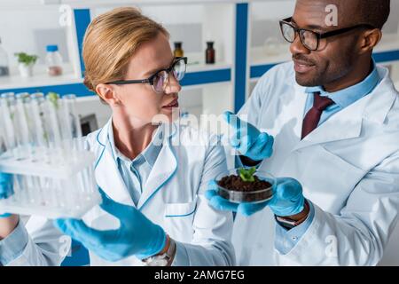 Multikulturelle Biologen in weißen Mänteln, die Reagenzgläser halten und im Labor sprechen Stockfoto