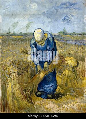 Vincent Van Gogh, Bäuerin Binding Sheaves, (nach Millet), Malerei, 1889 Stockfoto
