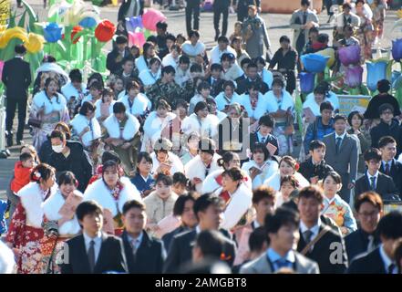 Tokio, Japan. Januar 2020. Die 20-jährige Teilnehmerin versammelt sich am Montag, 13. Januar 2020, zur Zeremonie Im Kommenden Alter in einem Vergnügungspark "Toshimaen" in Tokio, Japan. Die 20-jährigen Menschen sind 1,22 Millionen in Japan, etwa 30.000 weniger als im letzten Jahr. Foto von Keizo Mori/UPI Credit: UPI/Alamy Live News Stockfoto