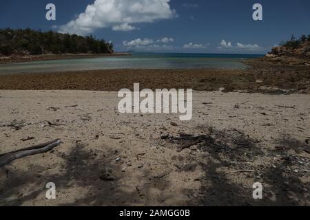 Hamilton Island, ein Paradies auf der Whitsunday Island Stockfoto